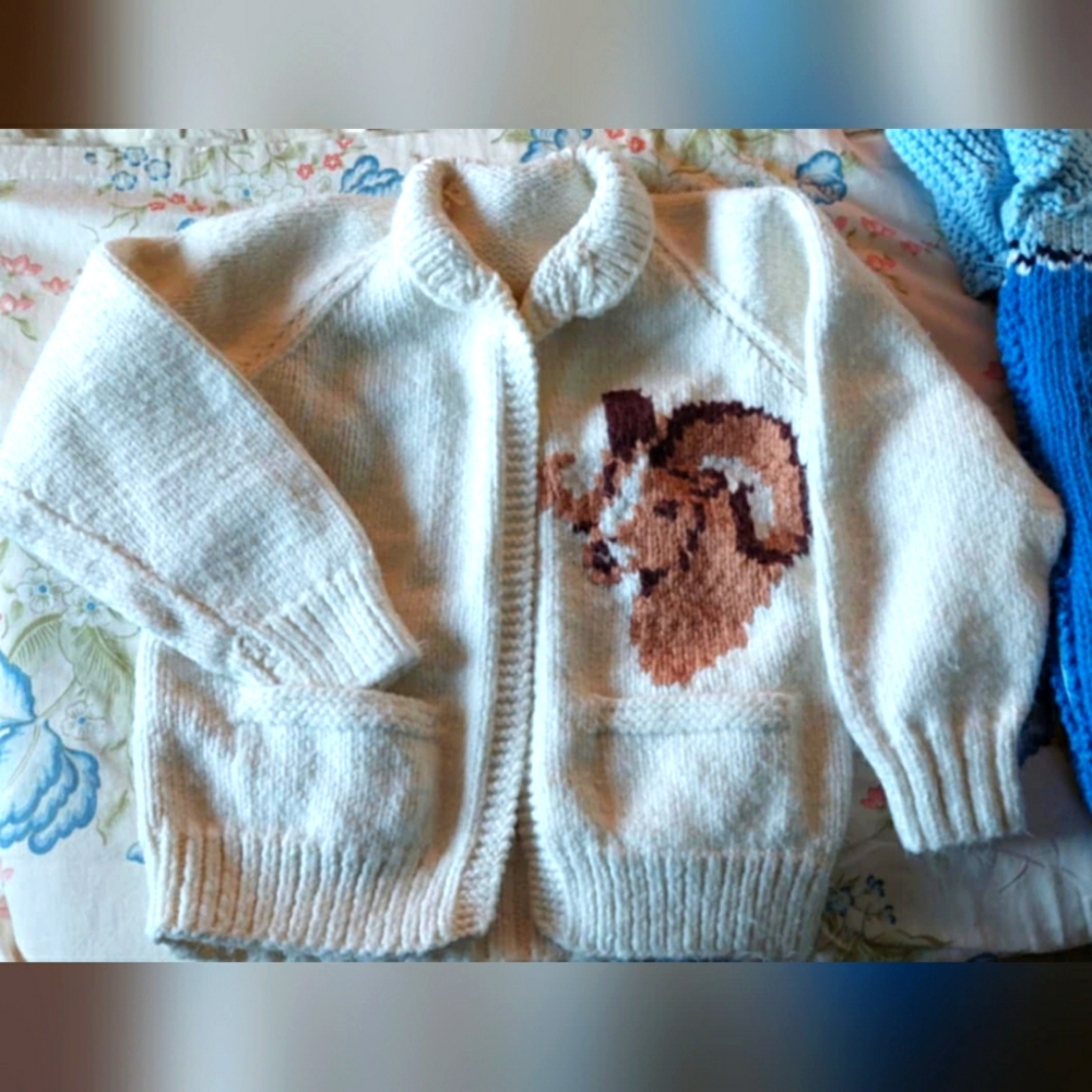 🐾🍁Gorgeous Mountain Sheep Handknit With Love Sweater🍁💘